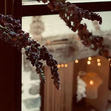 Heart Frida I Kahlo Lägenhet