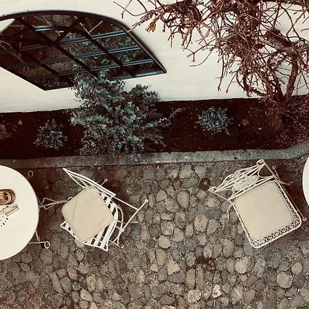 Heart Frida I Kahlo *